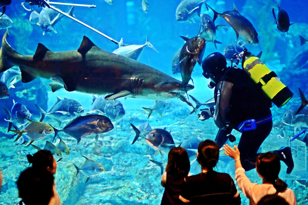 釜山水族館